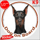 Dobermann Head, circle sticker "Dog on board" label decal car photo notice black and tan, ears-cropped
