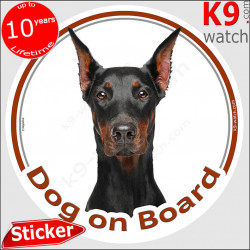 Dobermann Head, circle sticker "Dog on board" label decal car photo notice black and tan, ears-cropped