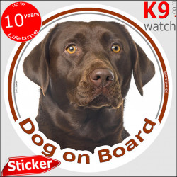 Brown Chocolate Labrador Head, car circle sticker "Dog on board" Decal adhesive photo label