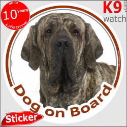 brindle Fila de Brasileiro, car circle sticker "Dog on board" photo notice, decal label adhesive
