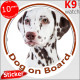 Brown Dalmatian, car circle sticker "Dog on board" decal adhesive car label, carriage spotted coach plum pudding photo