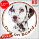 Dalmatian, car circle sticker "Dog on board" 14 cm