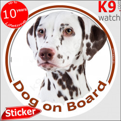 Brown Dalmatian, car circle sticker "Dog on board" decal adhesive car label, carriage spotted coach plum pudding photo