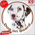 Dalmatian, car circle sticker "Dog on board" 14 cm
