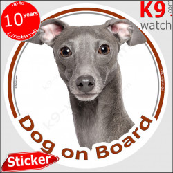 Grey blue Italian Greyhound, car circle sticker "Dog on board" Adhesive photo notice Sighthound decal label