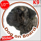 brindle Bullmastiff, circle sticker "Dog on board" decal adhesive car label photo notice