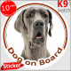 Grey blue Great Dane, car circle sticker "Dog on board" decal photo label notice Deutsche Dogge, German Mastiff