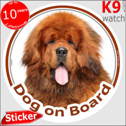Fawn red solid Tibetan Mastiff, car circle sticker "Dog on board" photo notice decal label