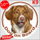 Nova Scotia Duck Tolling Retriever Head, circle sticker "Dog on board" decal label adhesive car Toller photo notice