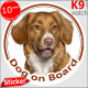 Nova Scotia Retriever, car circle sticker "Dog on board" 14 cm