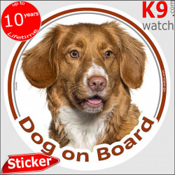 Nova Scotia Duck Tolling Retriever Head, circle sticker "Dog on board" decal label adhesive car Toller photo notice