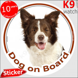 Brown Border Collie, circle car sticker "Dog on board" decal label photo notice adhesive