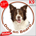 Brown Border Collie, circle car sticker "Dog on board" 14 cm