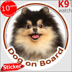 Black and Tan Pomeranian Head, circle sticker "Dog on board" deutsche spitz decal adhesive car label pom photo notice