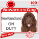 Red Portal Sign "Beware of the Dog, brown chocolate Newfoundland on duty" Plate photo notice newf Gate panel