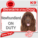 Red Portal Sign "Beware of the Dog, Newfoundland on duty" 24 cm