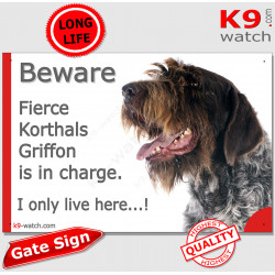 Funny Portal Sign "Beware fierce Korthals Griffon is in charge. I only live here" gate photo hilarious plate notice, Door plaque
