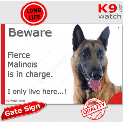 Funny Portal Sign "Beware fierce Malinois is in charge. I only live here" gate photo hilarious plate notice, Door plaque placard