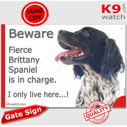 Funny Portal Sign "Beware fierce black French Brittany Spaniel is in charge. I only live here" gate photo hilarious plate notice