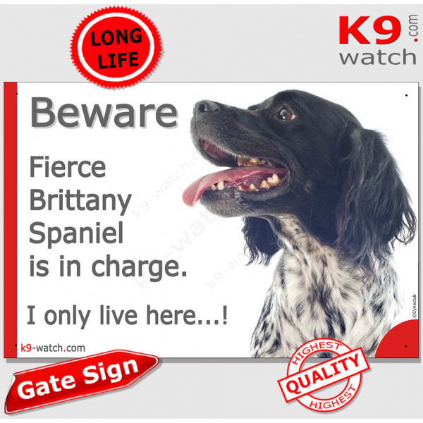 Funny Portal Sign "Beware fierce black French Brittany Spaniel is in charge. I only live here" gate photo hilarious plate notice