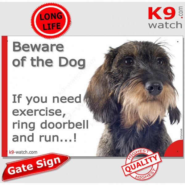 Wild-Boar wire-haired Dachshund, funny Portal Sign "Beware of the Dog, need exercise, ring & run" photo hilarious plate notice