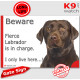 Funny Portal Sign "Beware fierce brown chocolate Labrador is in charge. I only live here" gate photo hilarious plate notice