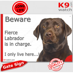 Funny Portal Sign "Beware fierce brown chocolate Labrador is in charge. I only live here" gate photo hilarious plate notice