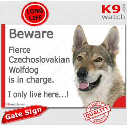 Funny Portal Sign "Beware fierce Czechoslovakian Wolfdog is in charge. I only live here" gate photo hilarious plate notice, Door