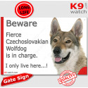 Funny Sign "Beware of the Dog, fierce Wolfdog is in charge !" 24 cm