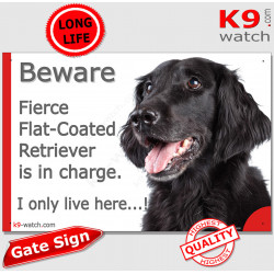 Funny Portal Sign "Beware fierce black Flat-Coated Retriever is in charge. I only live here" gate photo hilarious plate notice