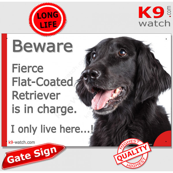 Funny Portal Sign "Beware fierce black Flat-Coated Retriever is in charge. I only live here" gate photo hilarious plate notice