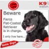 Funny Portal Sign "Beware fierce black Flat-Coated Retriever is in charge. I only live here" gate photo hilarious plate notice