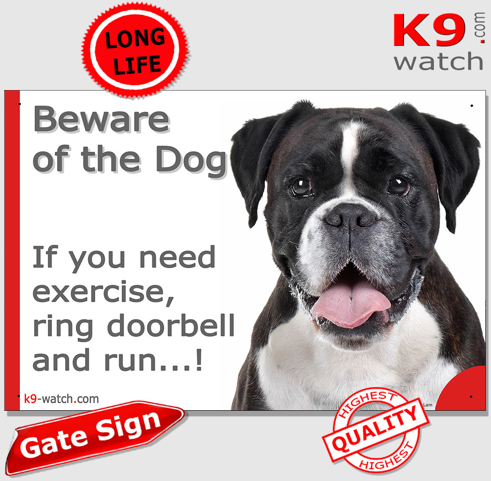 How Much Exercise Does A Boxer Need