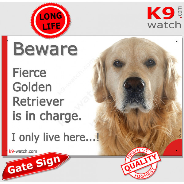Funny Portal Sign "Beware fierce Golden Retriever is in charge. I only live here" gate photo hilarious plate notice, Door plaque