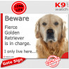 Funny Portal Sign "Beware fierce Golden Retriever is in charge. I only live here" gate photo hilarious plate notice, Door plaque