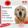 Funny Sign "Beware of the Dog, fierce Golden Retriever is in charge !" 24 cm