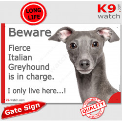 Funny Portal Sign "Beware fierce grey blue Italian Greyhound is in charge. I only live here" gate photo hilarious plate notice