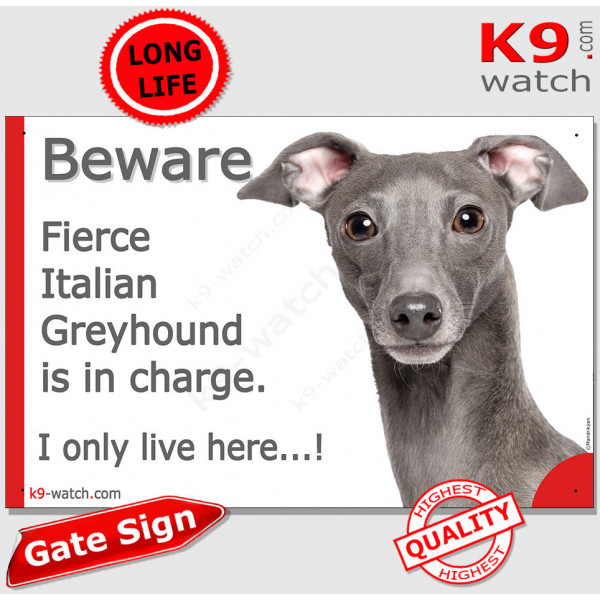 Funny Portal Sign "Beware fierce grey blue Italian Greyhound is in charge. I only live here" gate photo hilarious plate notice
