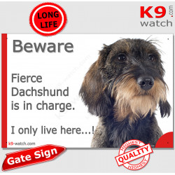 Funny Portal Sign "Beware fierce Wild-Boar wire-haired Dachshund is in charge. I only live here" gate photo hilarious notice