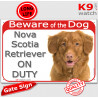 Red Portal Sign "Beware of the Dog, Nova Scotia Retriever on duty" gate photo plate notice, Door plaque placard Duck Tolling