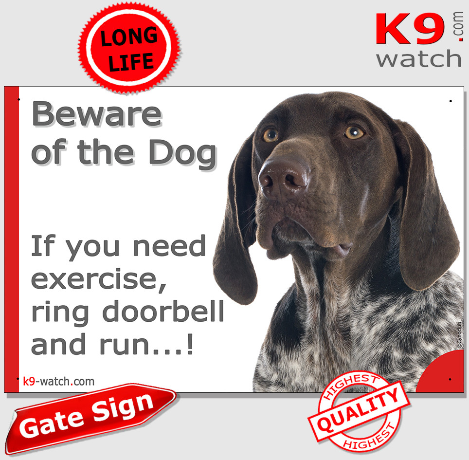 Canine Dog Watching Exercise Video Sign German Shorthaired Pointer