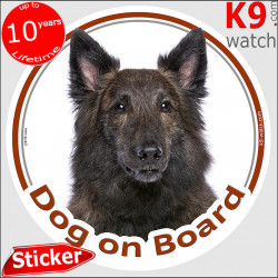 Brindle long hair Dutch Shepherd Head, car circle sticker "Dog on board" decal photo adhesive car label hollandaise herder