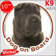 brown chocolate Shar-Peï, car circle sticker "Dog on board" Photo notice, label decal Sharpei