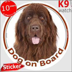Brown chocolate Newfoundland, car circle sticker "Dog on board" decal adhesive label photo notice