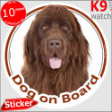 Newfoundland, car circle sticker "Dog on board" 14 cm