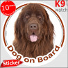 Newfoundland, car circle sticker "Dog on board" 14 cm