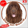 Brown chocolate Newfoundland, car circle sticker "Dog on board" decal adhesive label photo notice