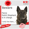 Funny Portal Sign "Beware fierce Brindle Dutch Shepherd is in charge. I only live here" gate photo hilarious plate notice, Door 
