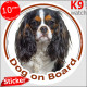 Tricolor Cavalier King Charles Spaniel, car circle sticker "Dog on board" Decal label photo notice