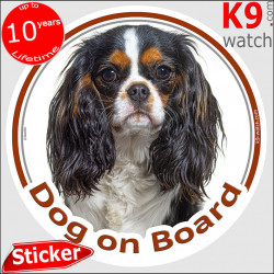 Cavalier King Charles, car sticker "Dog on board" 14 cm